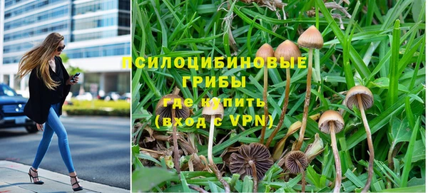 круглые Алзамай