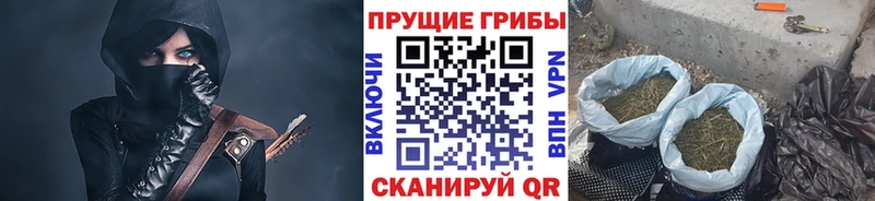 Галлюциногенные грибы мухоморы  mega вход  Петропавловск-Камчатский  где купить наркоту 