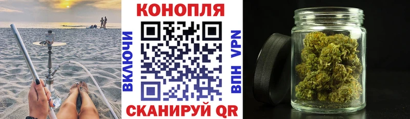 мориарти как зайти  дарнет шоп  Петропавловск-Камчатский  Конопля план 